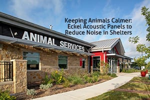 Animal shelter with noise control